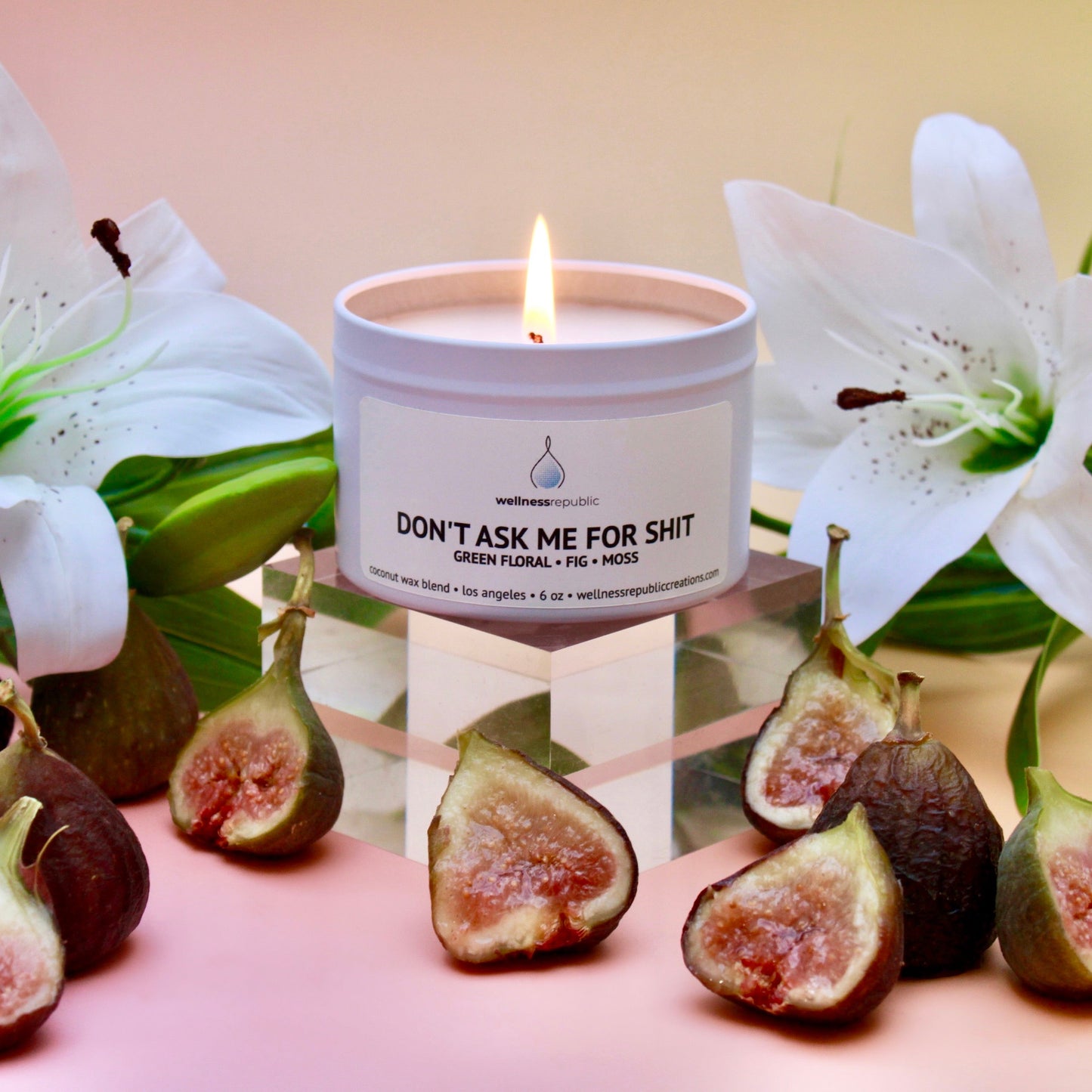 Don't Ask Me for Shit Candle