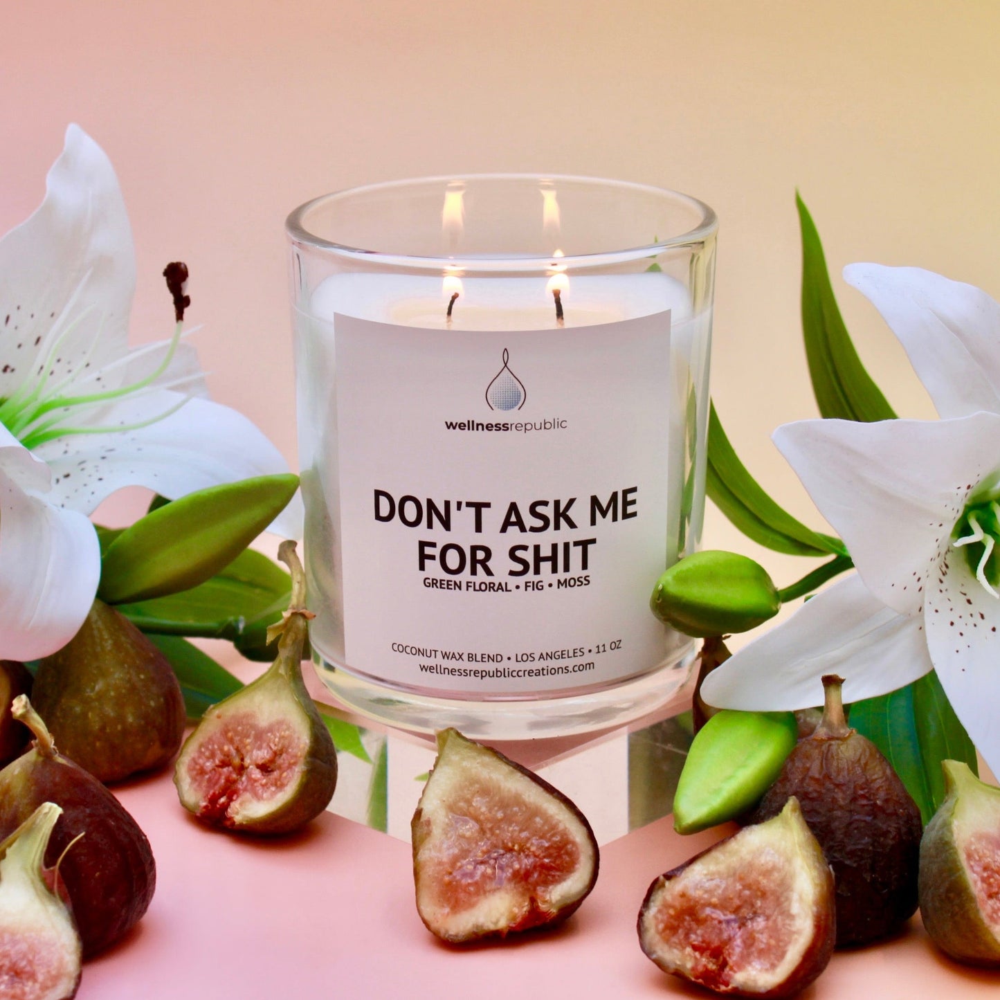 Don't Ask Me for Shit Candle