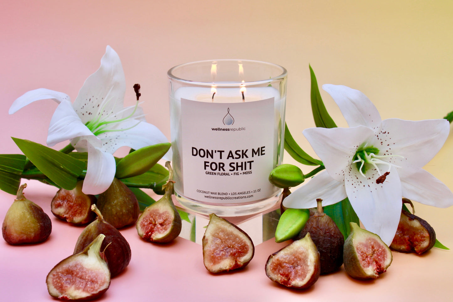 Don't Ask Me for Shit Candle